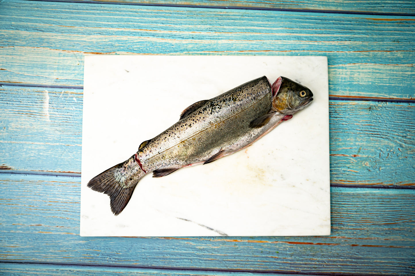 Nordhauser Mühle Forelle Ike Jime - ganzer Fisch 300-400 g, delikat geschlachtet für unvergleichlichen Genuss