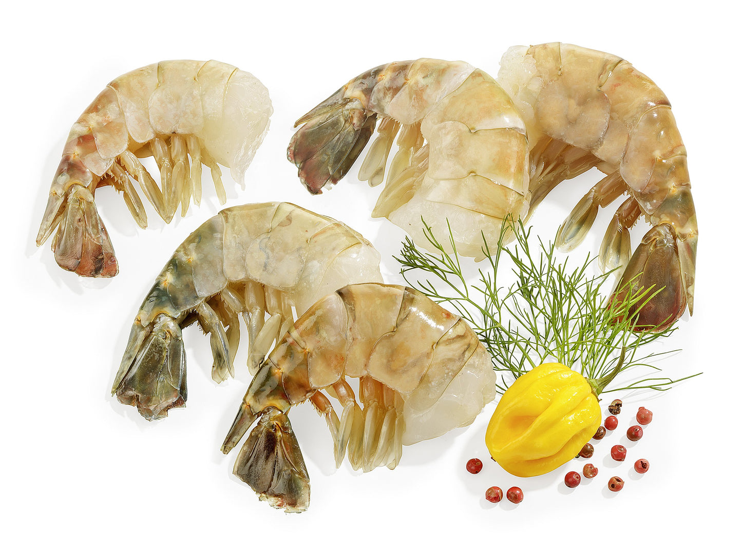 Riesengarnelen ohne Kopf mit Schale -easy peel- 8/12 - Fischveredelung Nordhauser Mühle