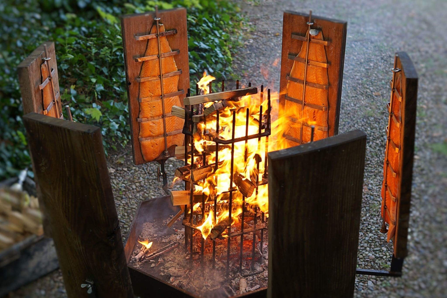 Lachsfilet frisch - ganze Seite -ideal für Flammlachs - Fischveredelung Nordhauser Mühle