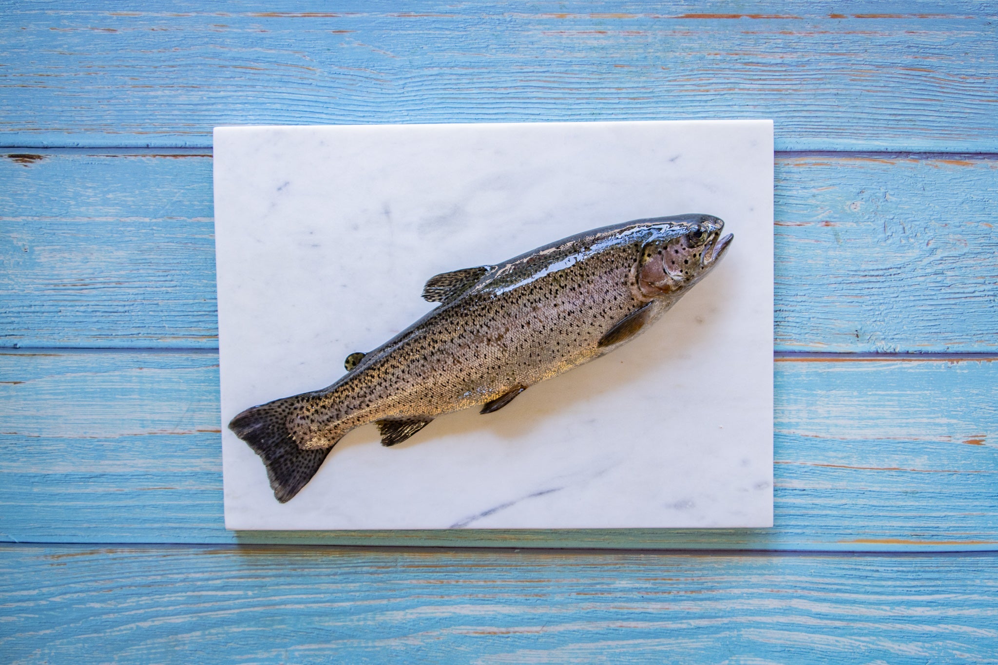 Ganze Forelle 300/400 g, frisch, ausgenommen u. vakuumiert, Nordhauser – Fischveredelung Nordhauser Mühle
