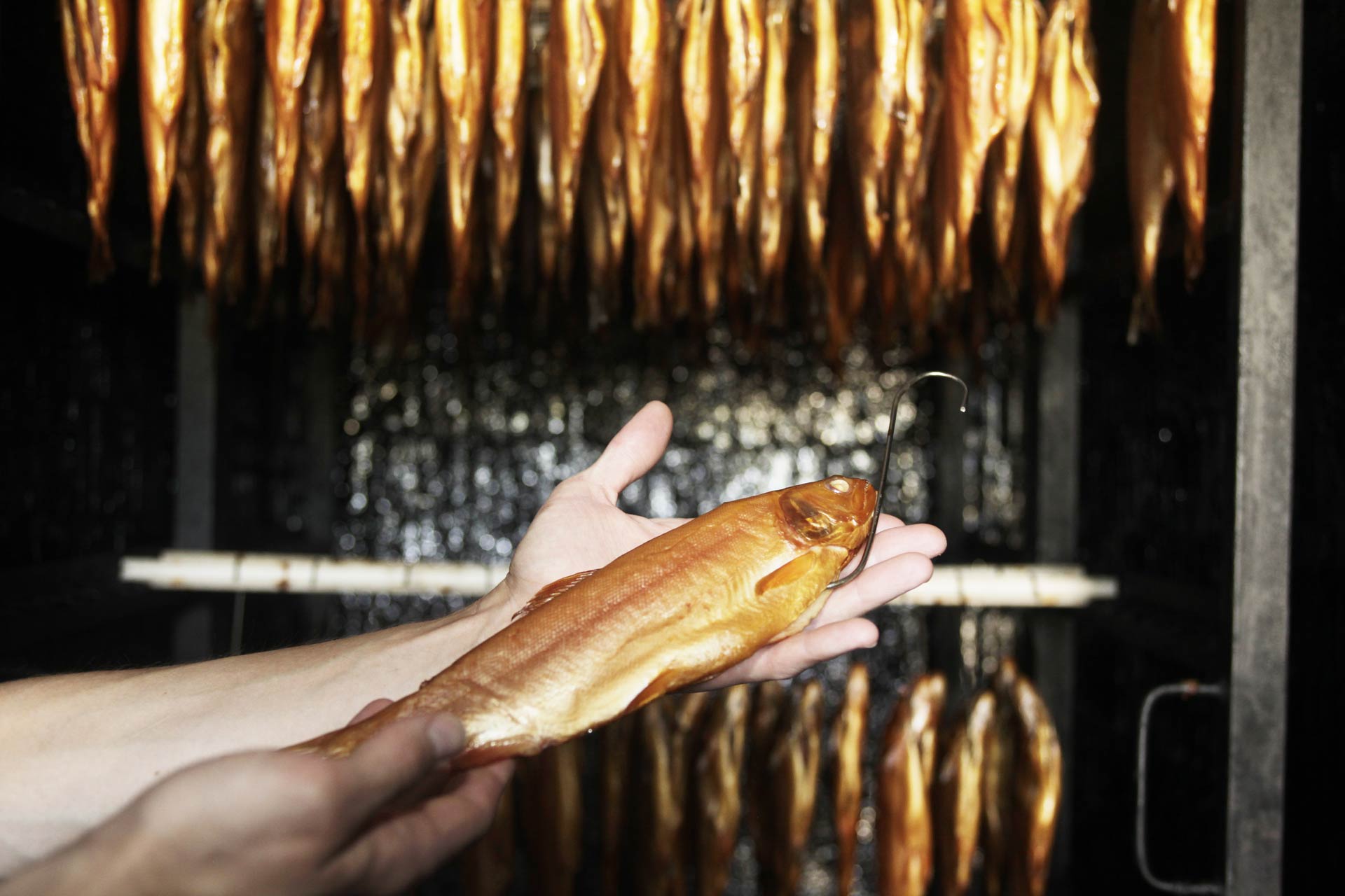 geräucherte forelle im kühlschrank aufbewahren Ganze Forelle, 290g, von Hand geräuchert u. vakuumiert, Nordhauser Müh – Fischveredelung Nordhauser Mühle